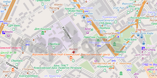 Карта Воронежа для City Guide