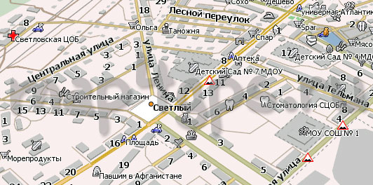 Карта Светлый Навител